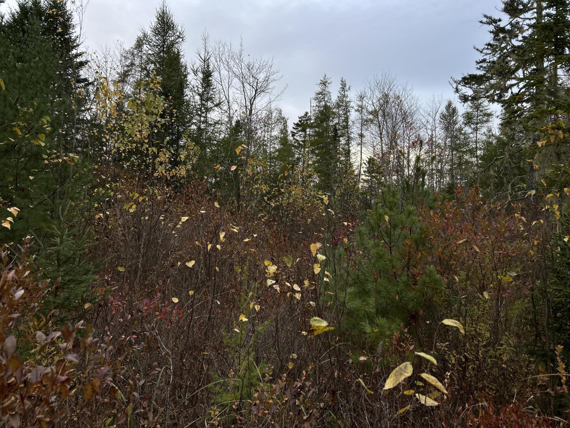 401 Genthner Road Waldoboro ME 04572