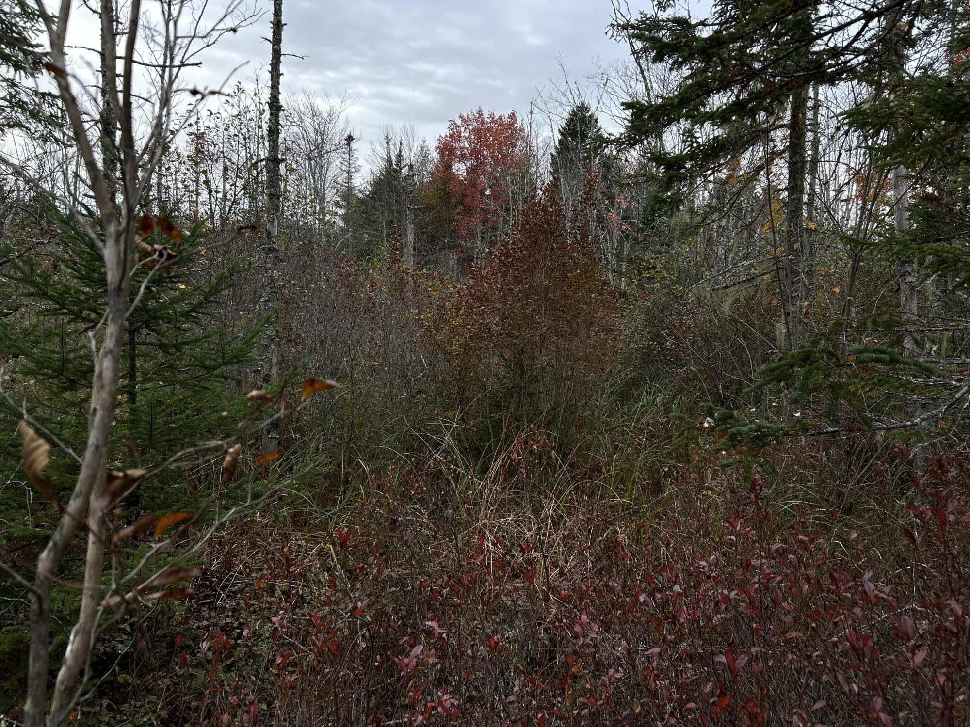 401 Genthner Road Waldoboro ME 04572