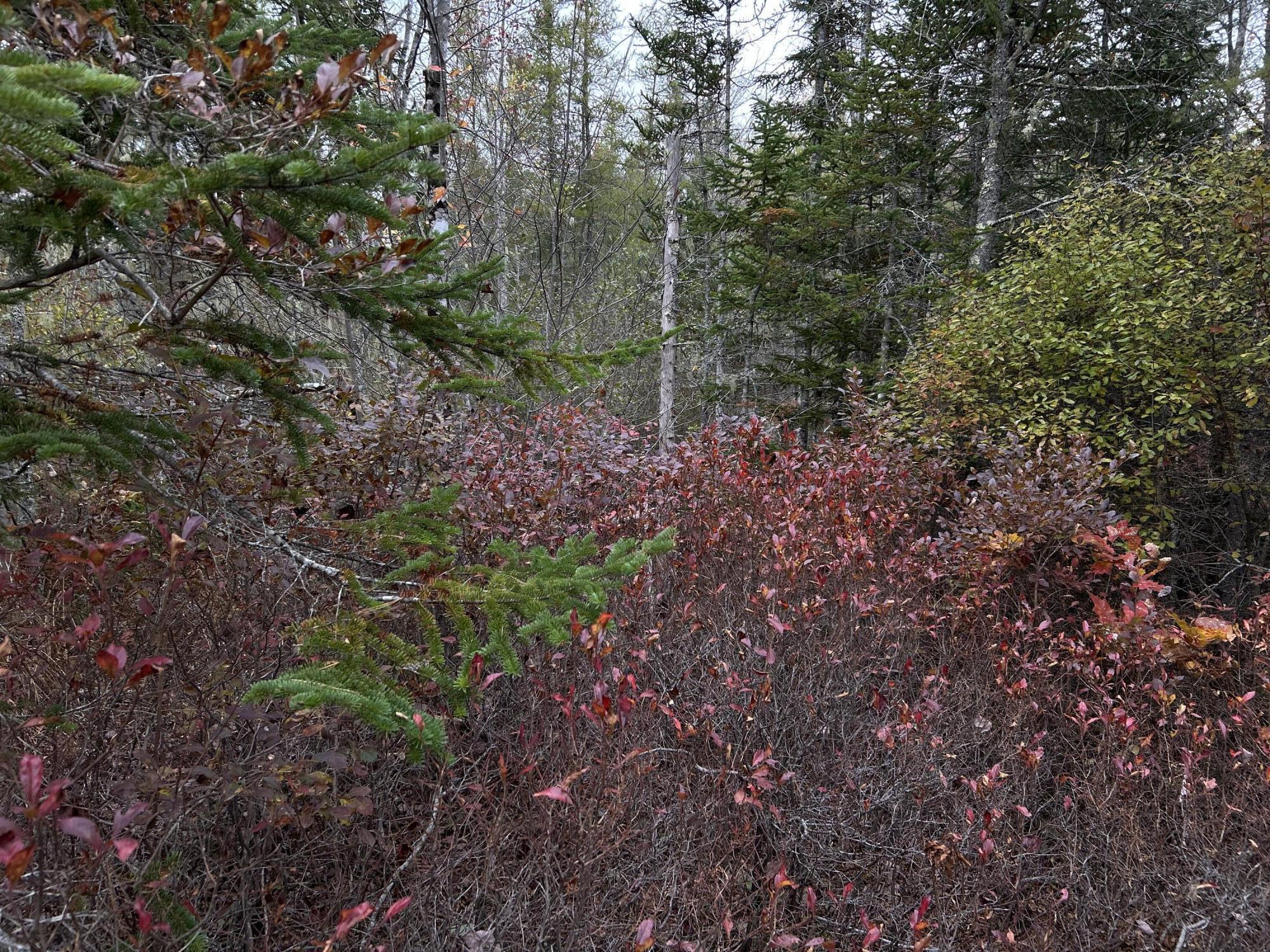 401 Genthner Road Waldoboro ME 04572