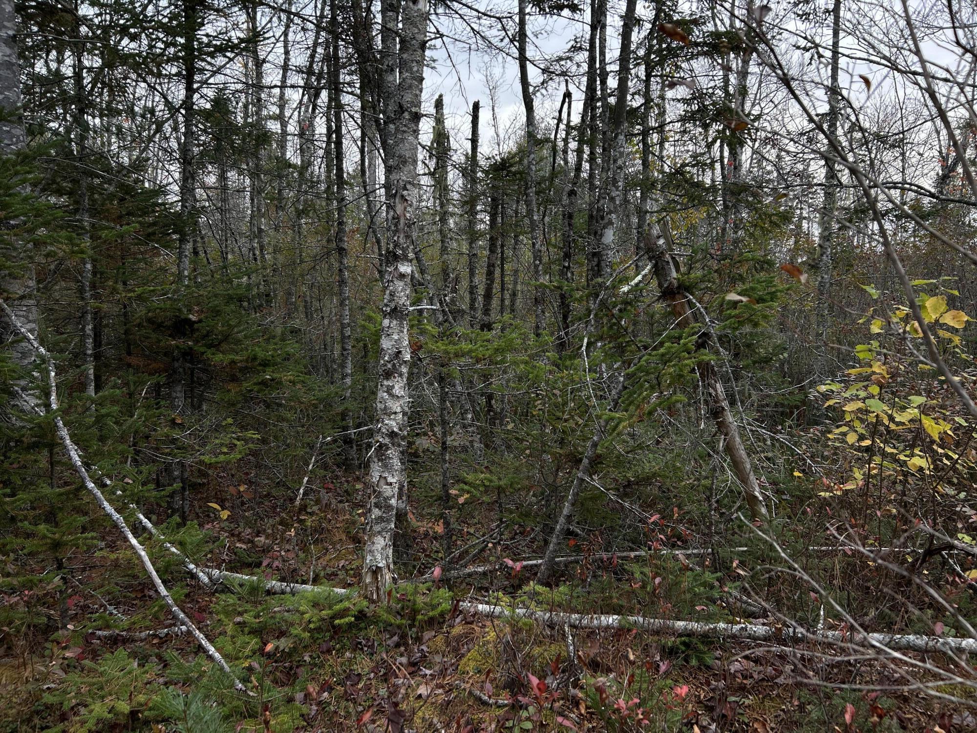 401 Genthner Road Waldoboro ME 04572