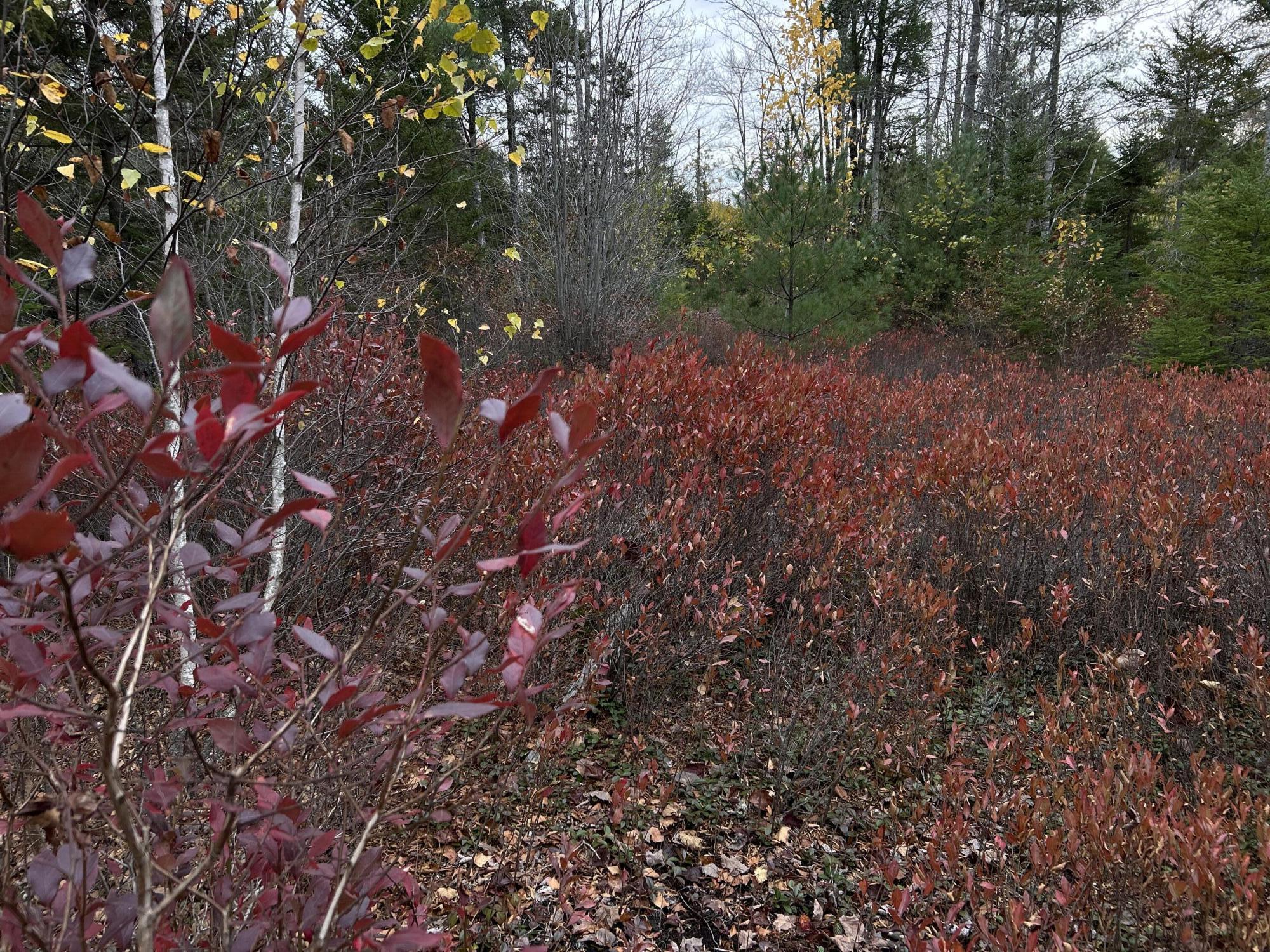 401 Genthner Road Waldoboro ME 04572