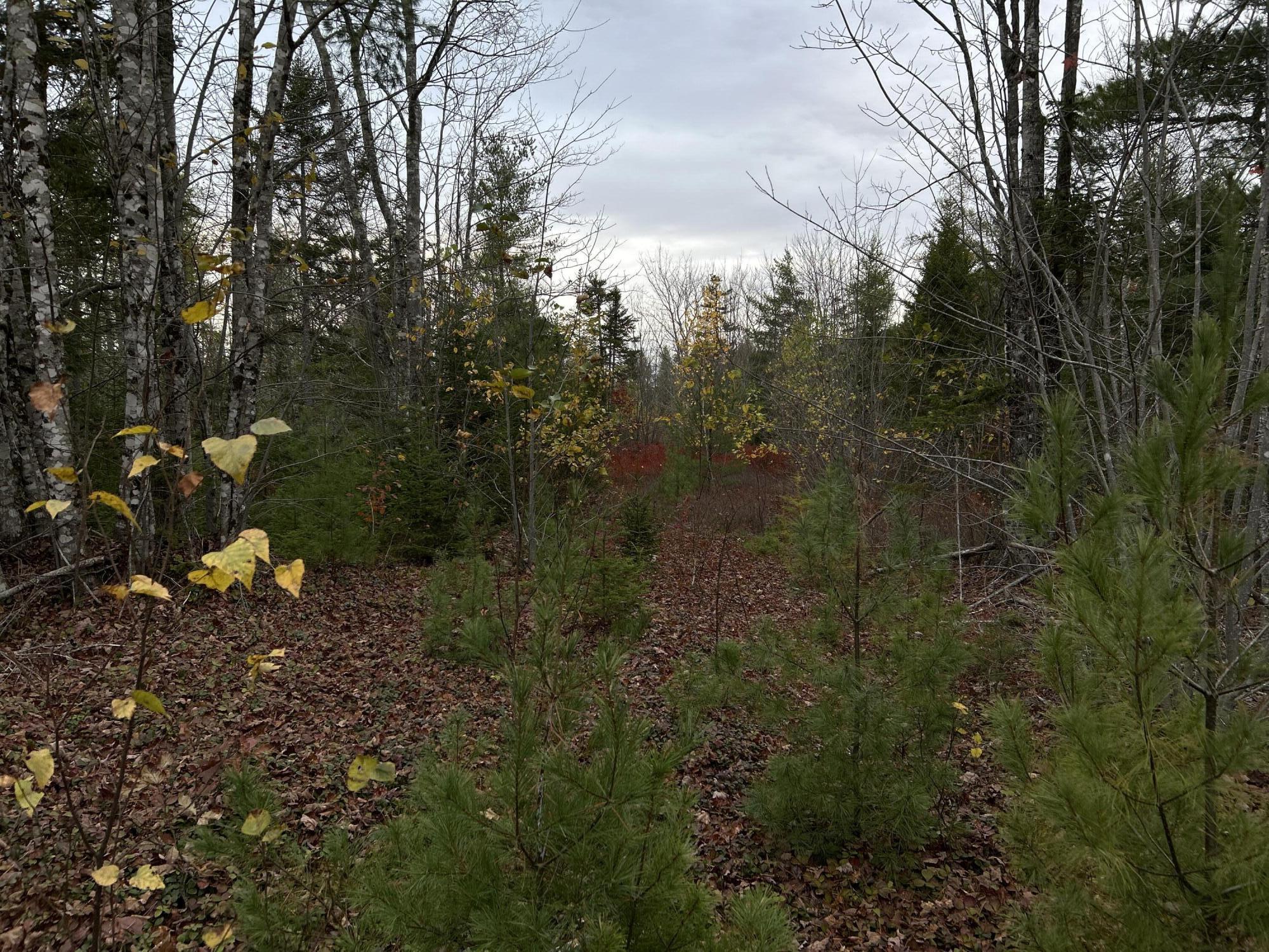 401 Genthner Road Waldoboro ME 04572