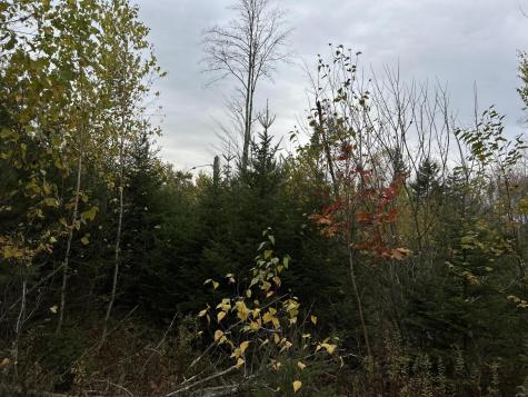 401 Genthner Road Waldoboro ME 04572
