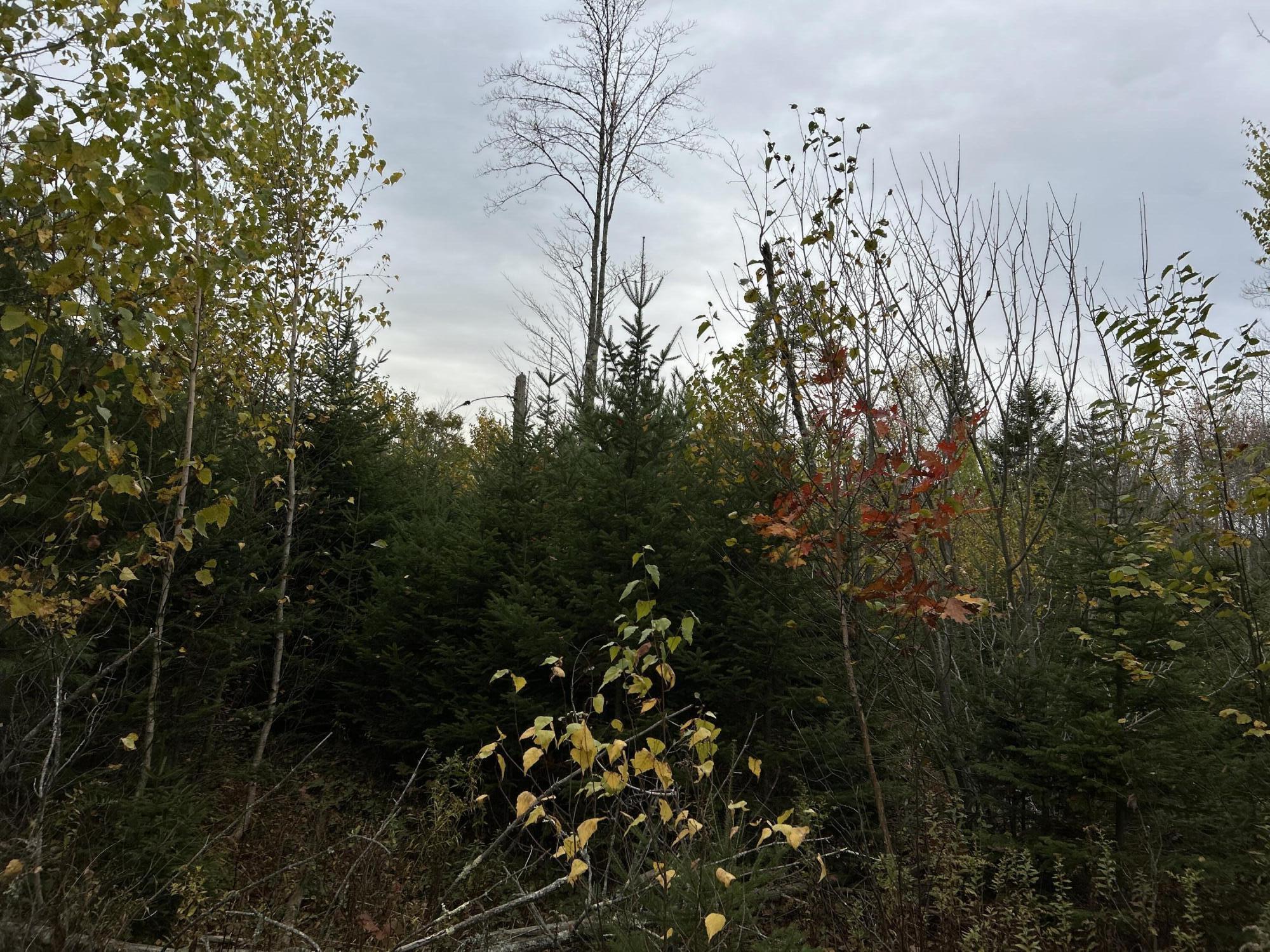 401 Genthner Road Waldoboro ME 04572