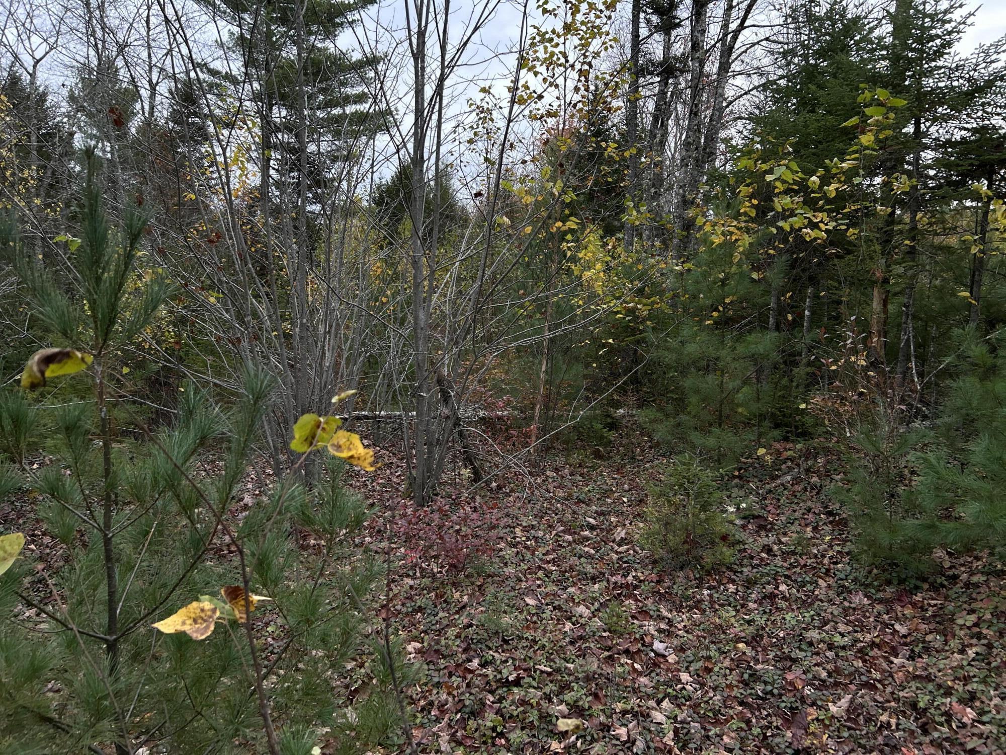 401 Genthner Road Waldoboro ME 04572