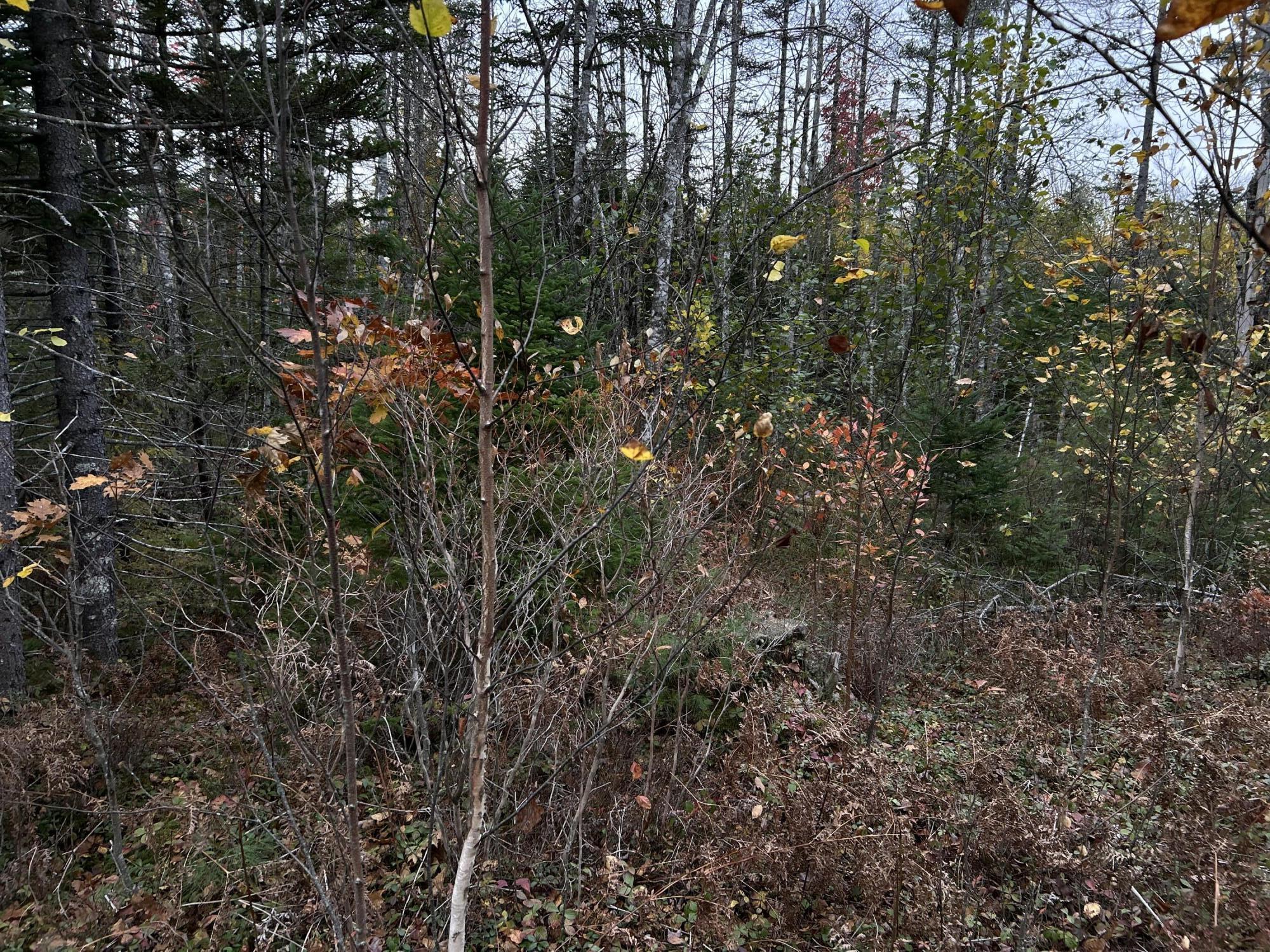 401 Genthner Road Waldoboro ME 04572