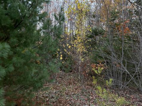 401 Genthner Road Waldoboro ME 04572