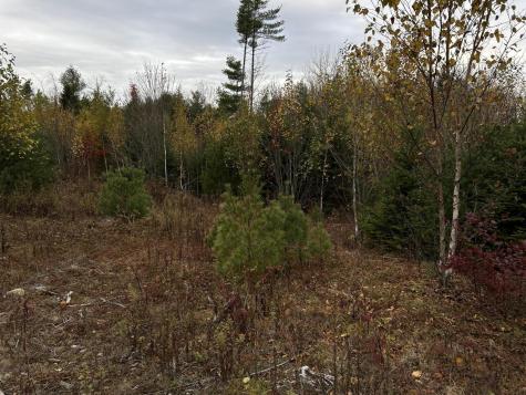 401 Genthner Road Waldoboro ME 04572