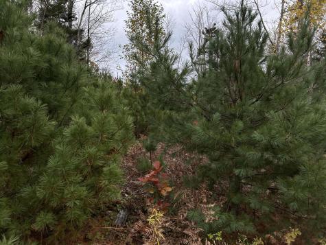 401 Genthner Road Waldoboro ME 04572