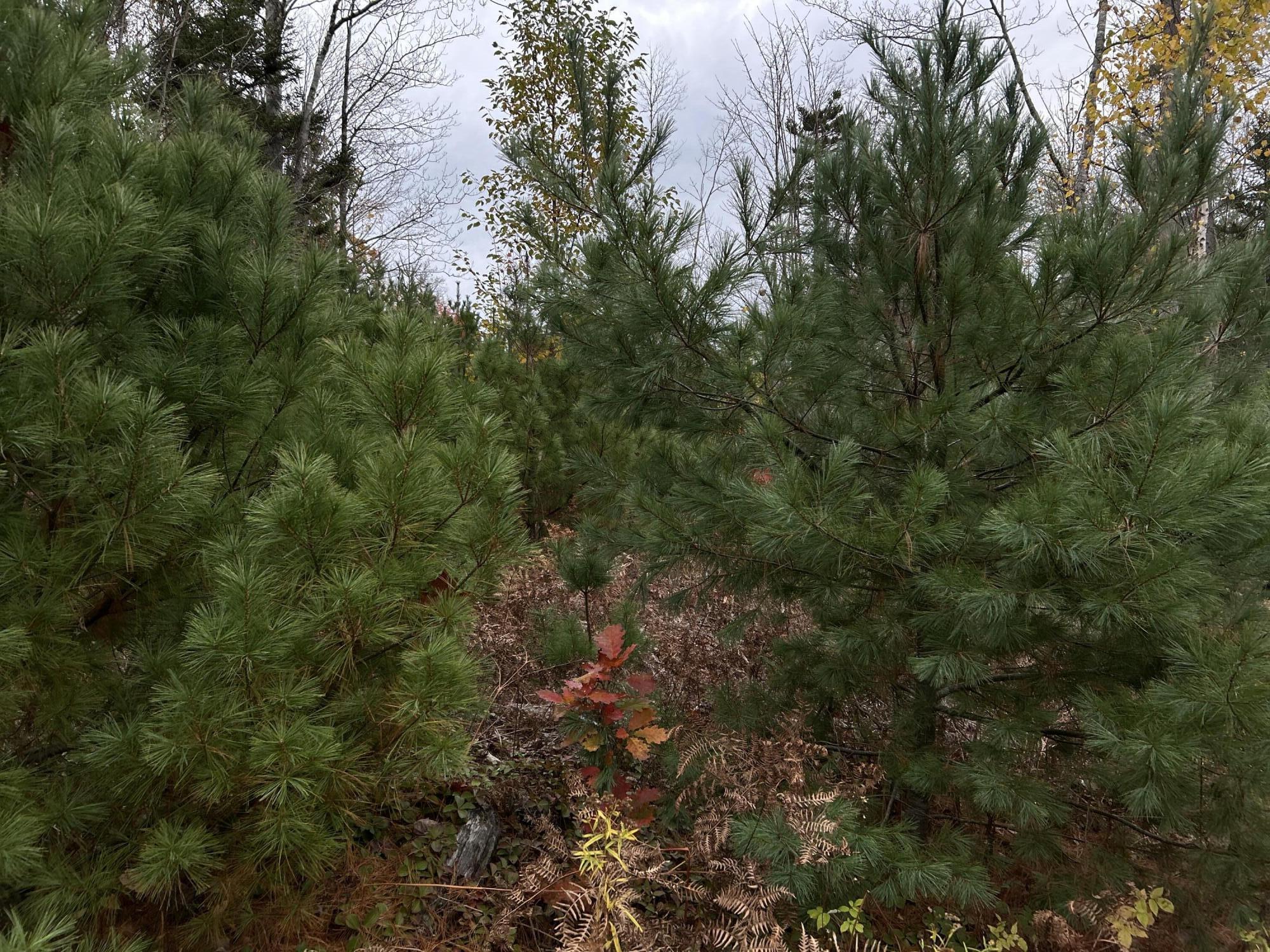 401 Genthner Road Waldoboro ME 04572