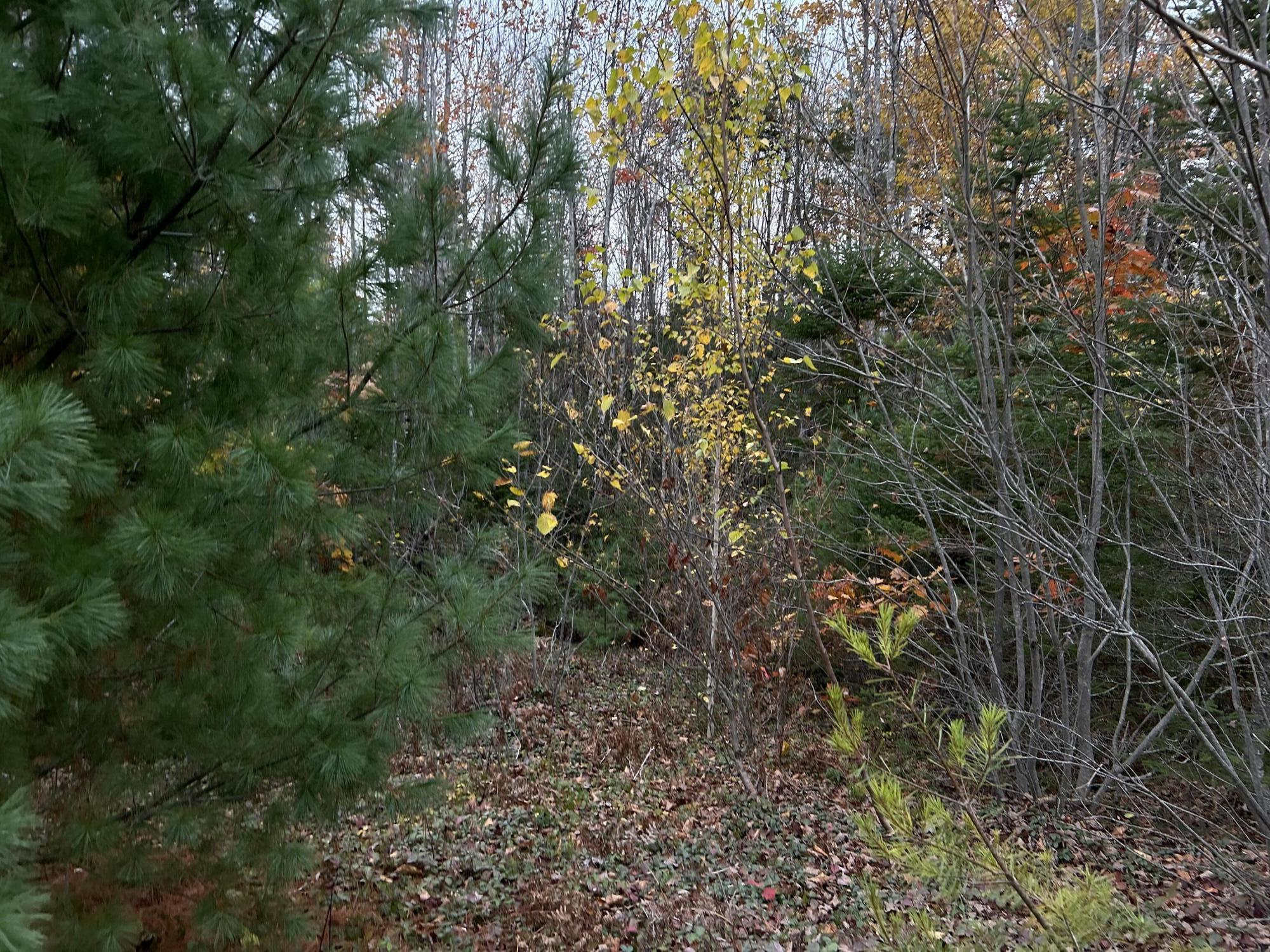 401 Genthner Road Waldoboro ME 04572