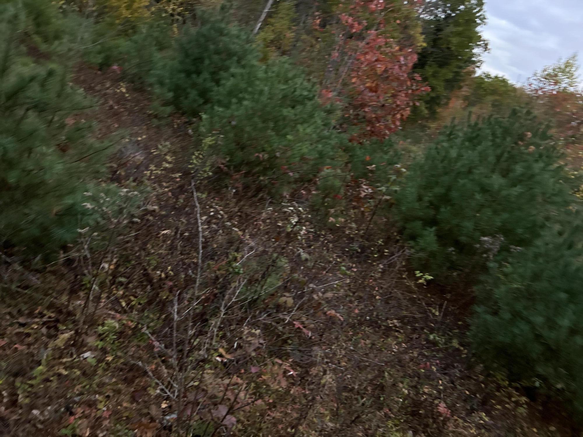 401 Genthner Road Waldoboro ME 04572