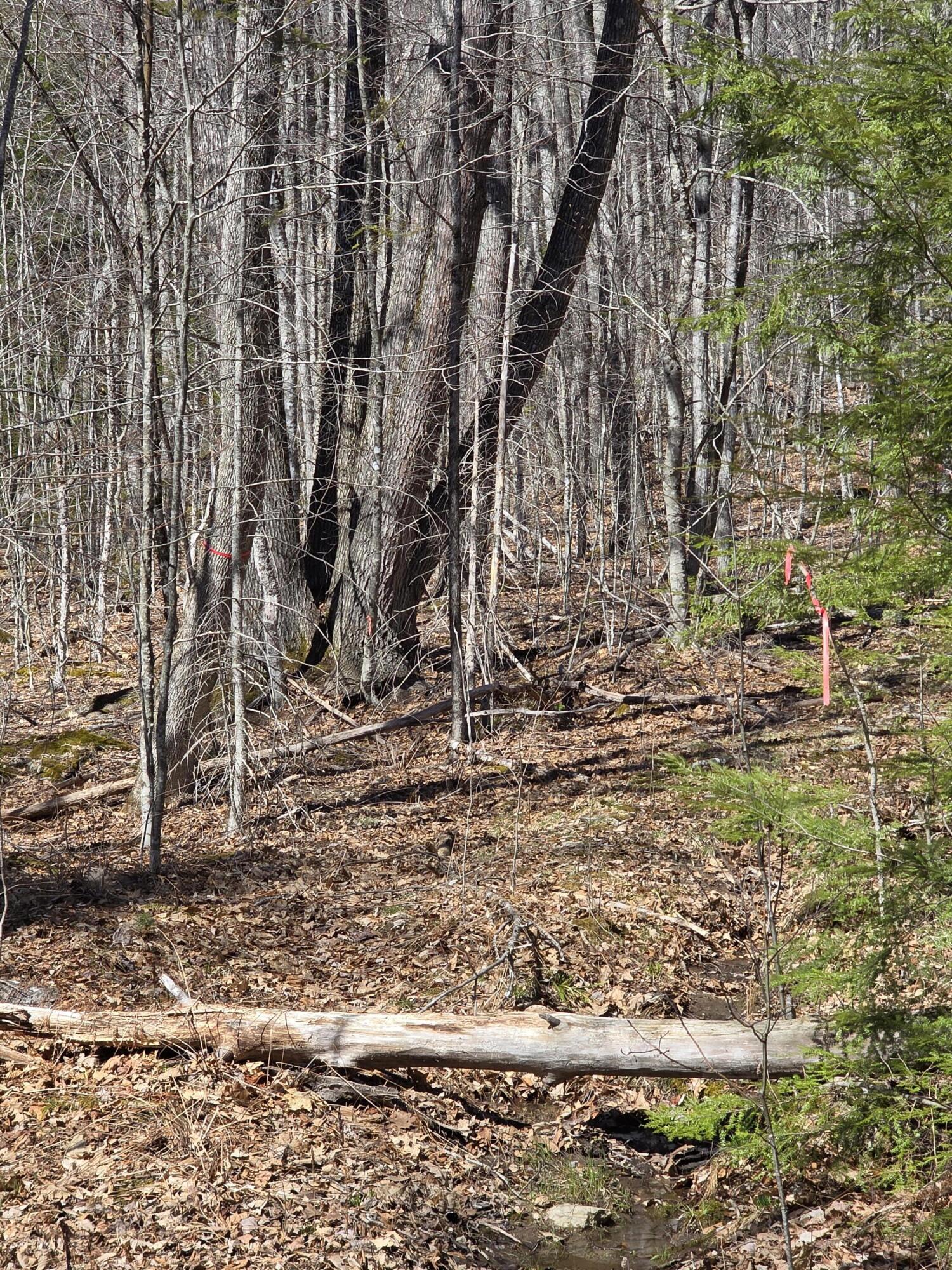 0 Airline Road Clifton ME 04428