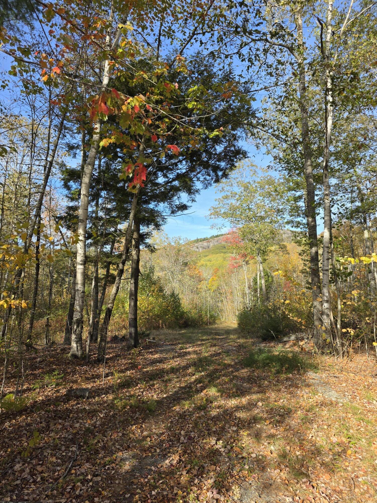 0 Airline Road Clifton ME 04428