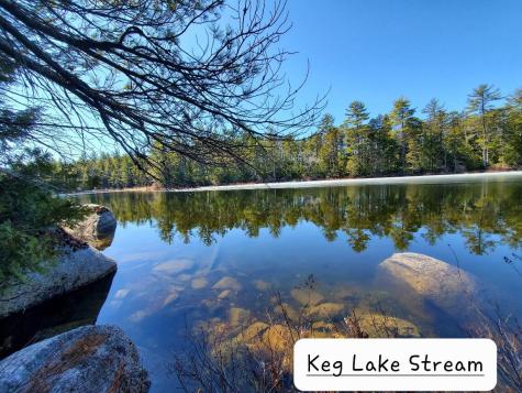 0 Cody Way Lakeville ME 04487