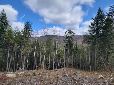1009 Apres Way Carrabassett Valley ME 04947