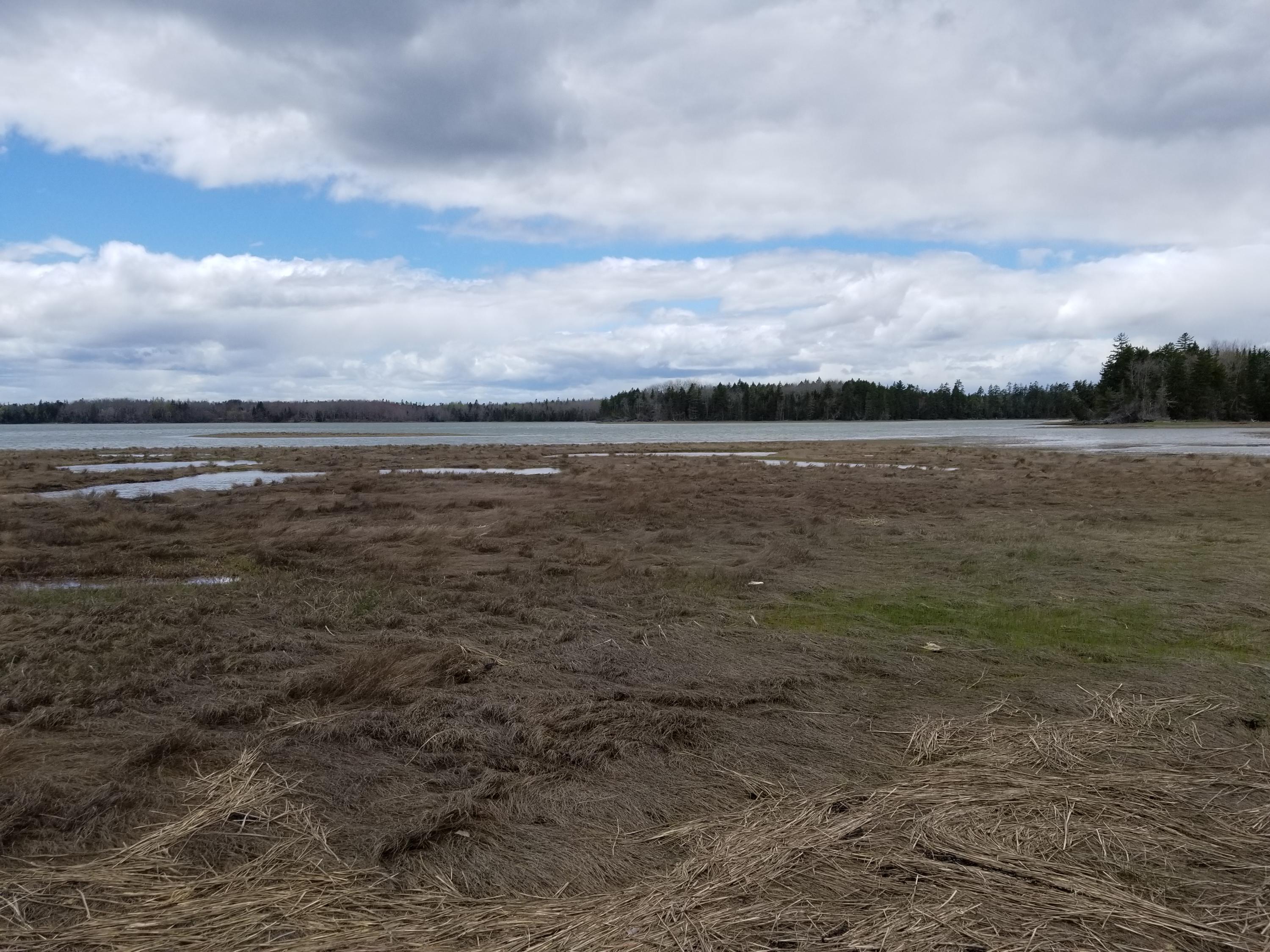 0 Wilson District Road Harrington Maine Real Estate Listing MLS 1419957