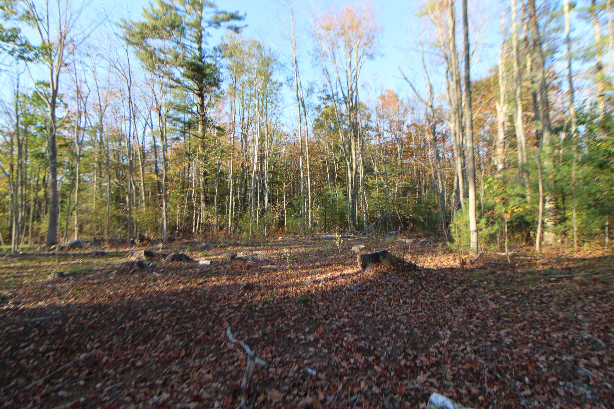 53-03 Race Course Road Bucksport ME 04416