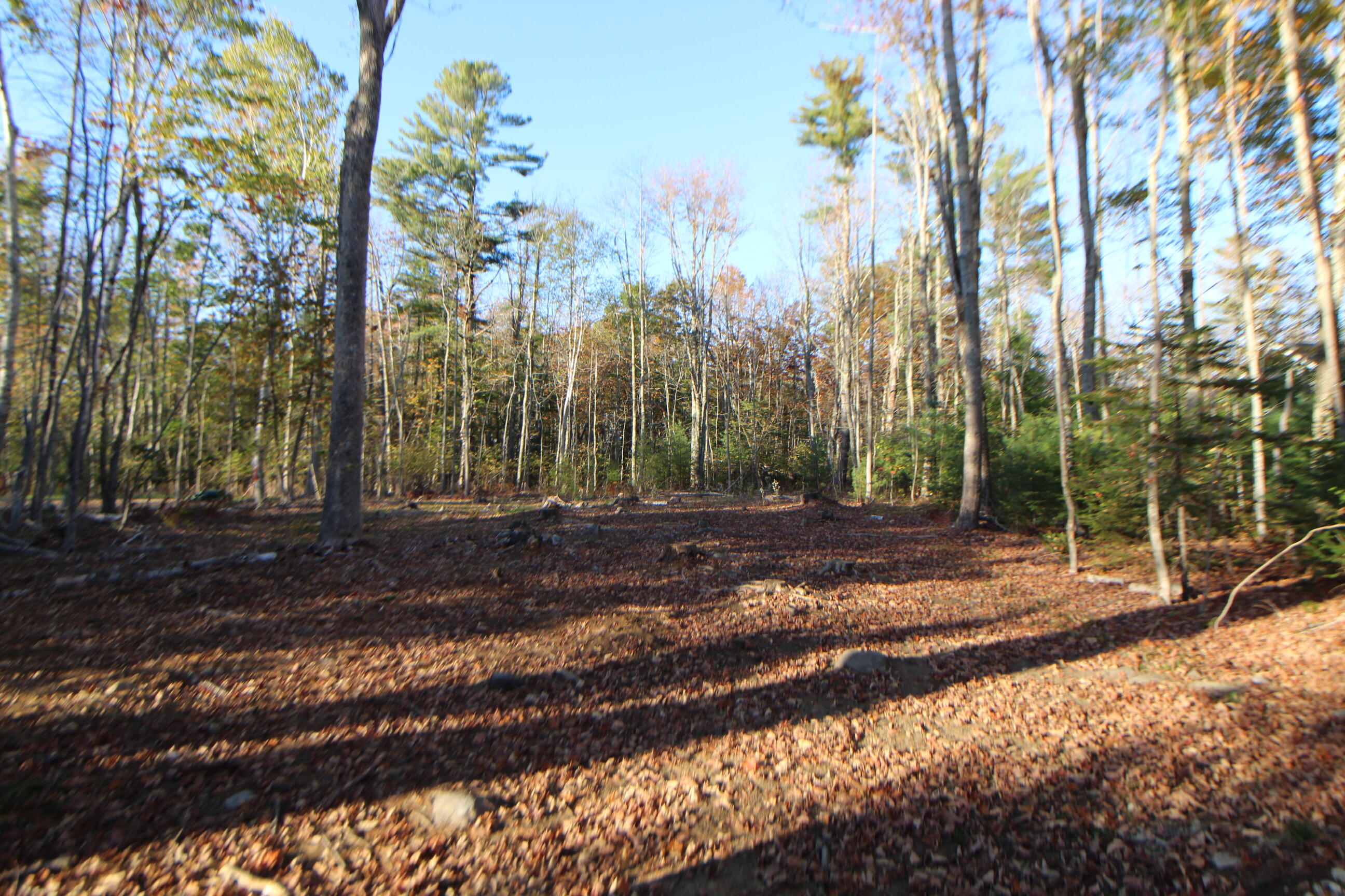 53-03 Race Course Road Bucksport ME 04416