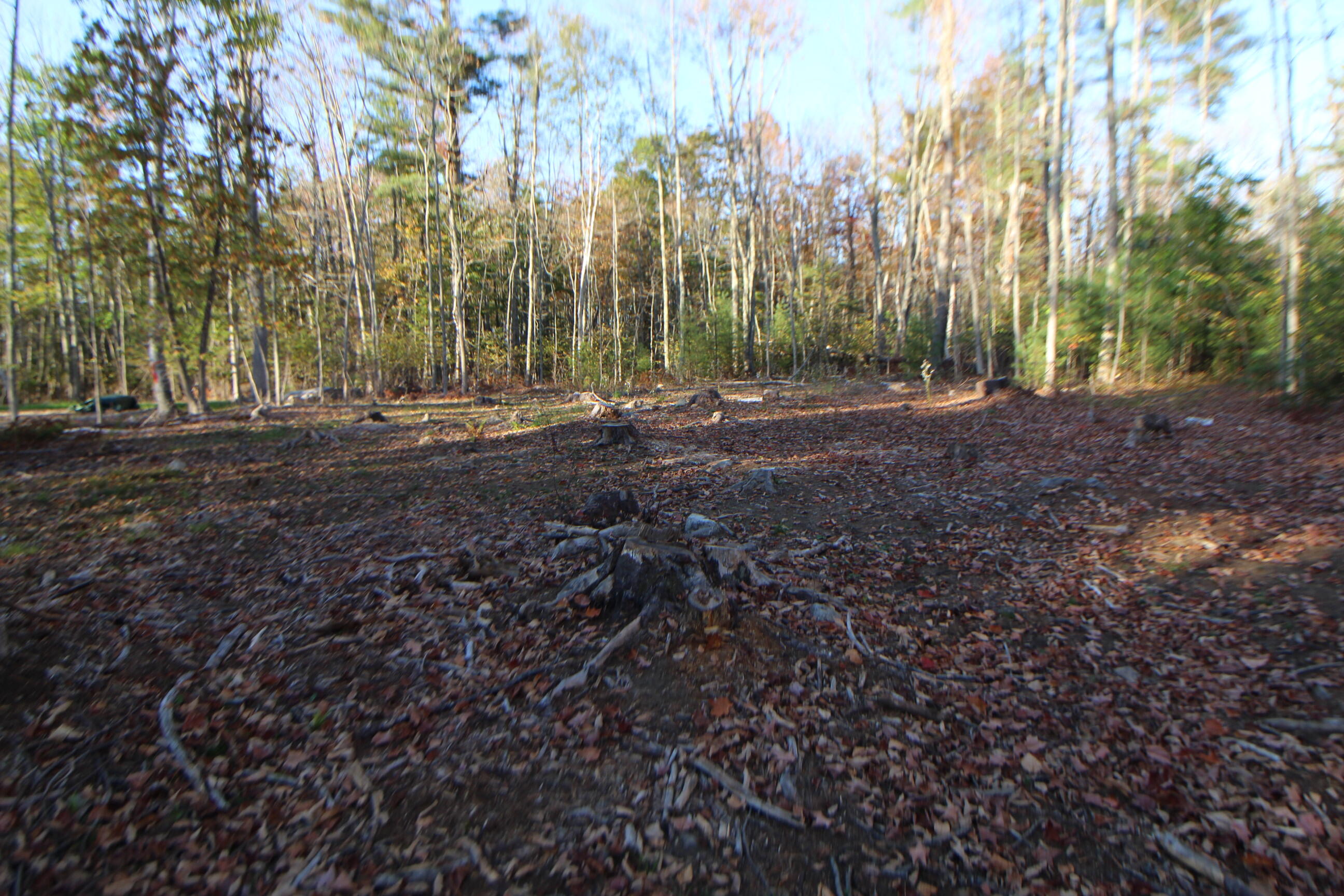 53-03 Race Course Road Bucksport ME 04416