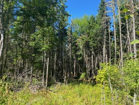 Lot S6 S Watson Island Road Sandbar Tract Twp ME 04478
