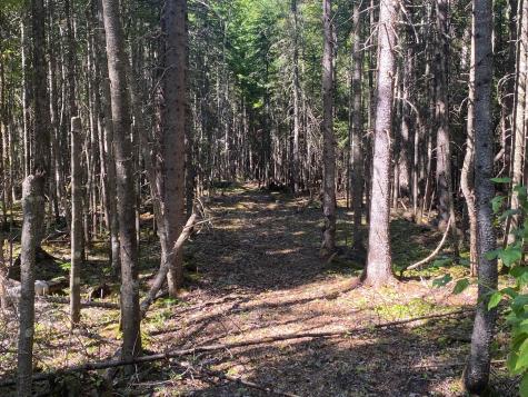 Lot S6 S Watson Island Road Sandbar Tract Twp ME 04478
