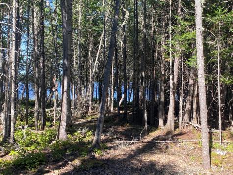 Lot S6 S Watson Island Road Sandbar Tract Twp ME 04478