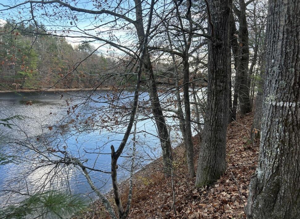 Lot 14a River Road Hollis ME 04043
