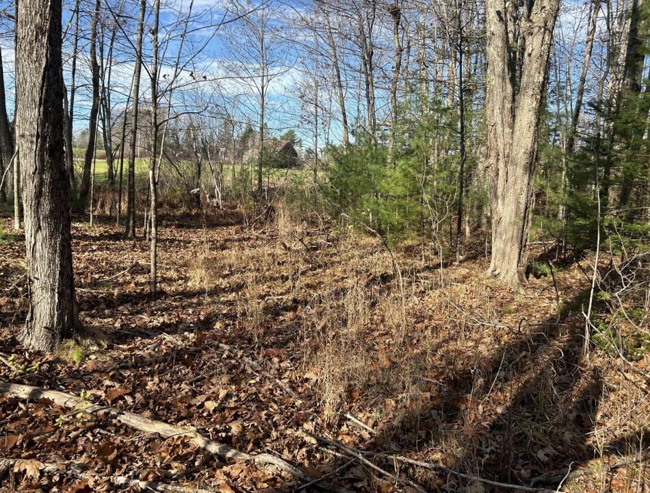 Lot 14a River Road Hollis ME 04043