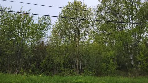 2 Byrd Street Eastport ME 04631