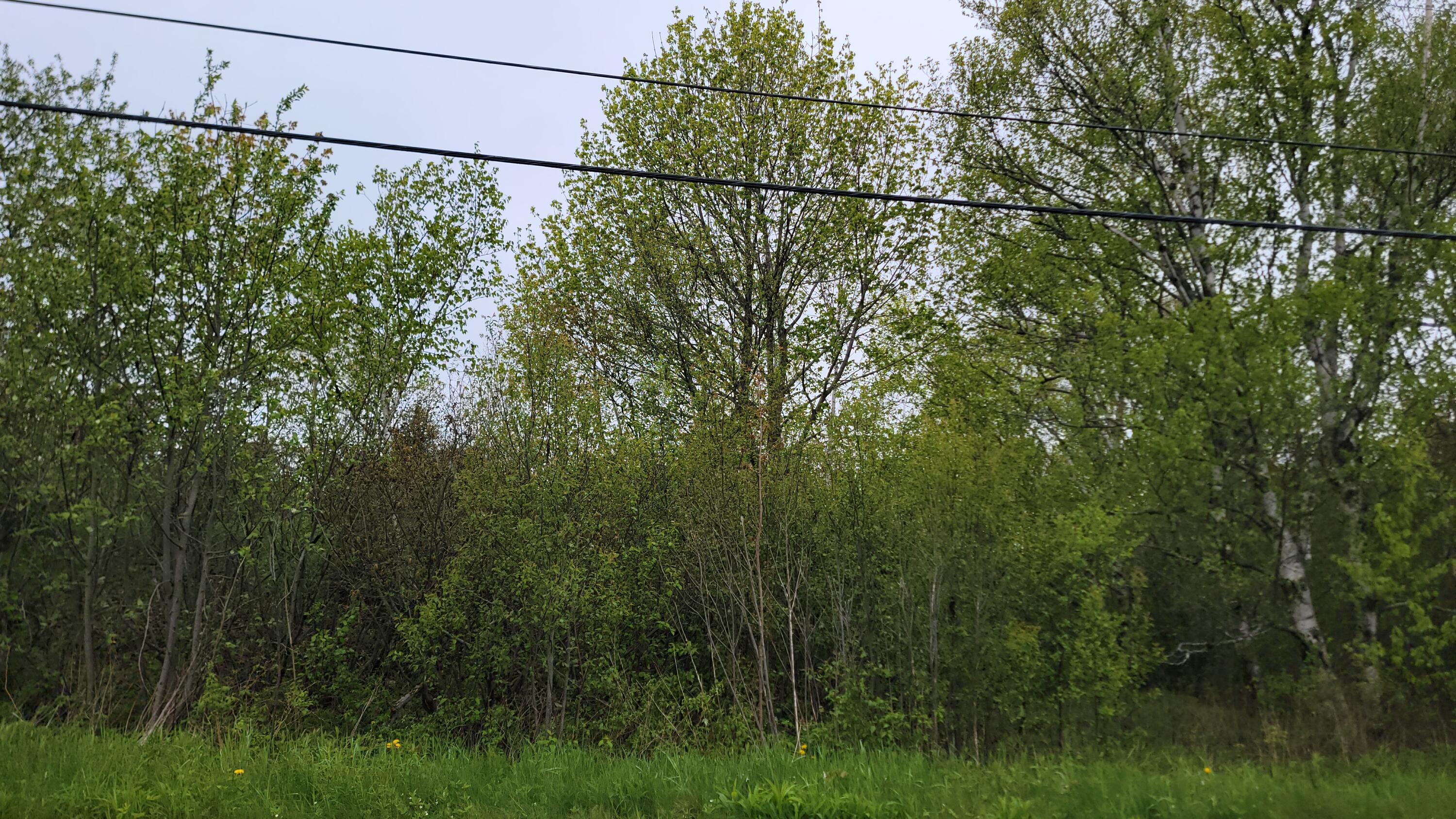 2 Byrd Street Eastport ME 04631