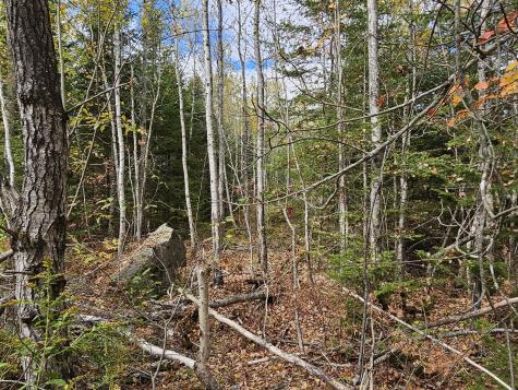Map R09, Lot 12, Fox Run Drive Mariaville ME 04605
