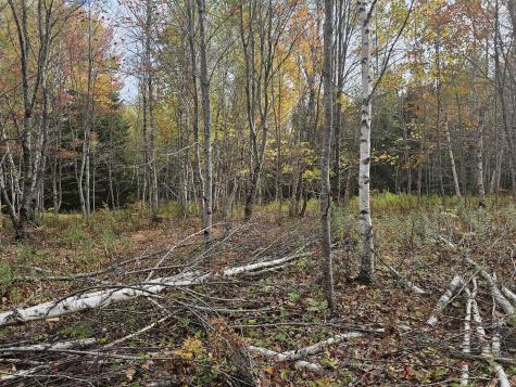 Map R09, Lot 12, Fox Run Drive Mariaville ME 04605