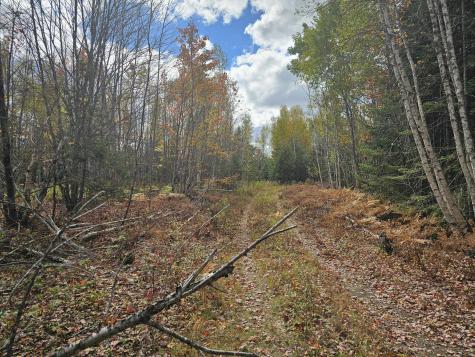 Map R09, Lot 12, Fox Run Drive Mariaville ME 04605