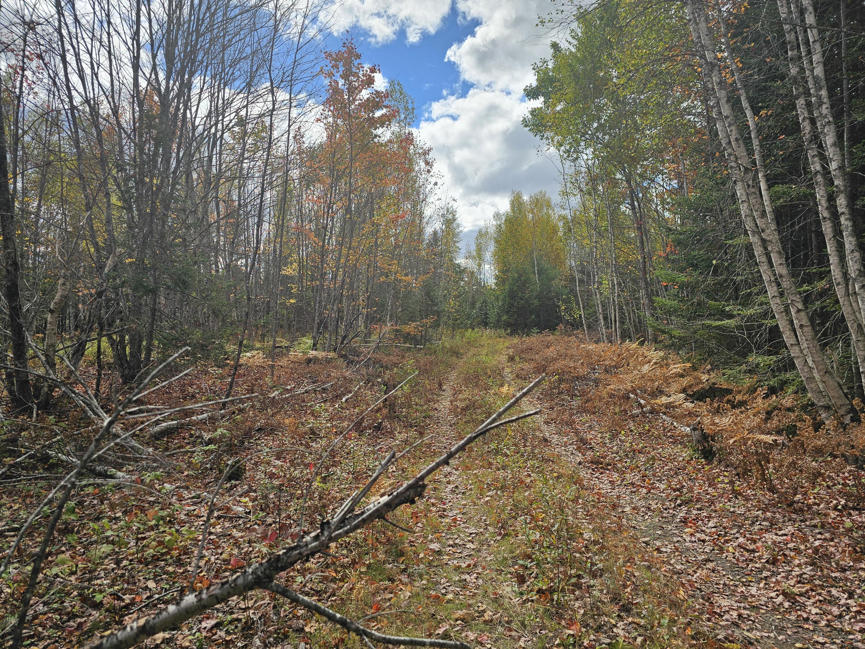 Map R09, Lot 12, Fox Run Drive Mariaville ME 04605