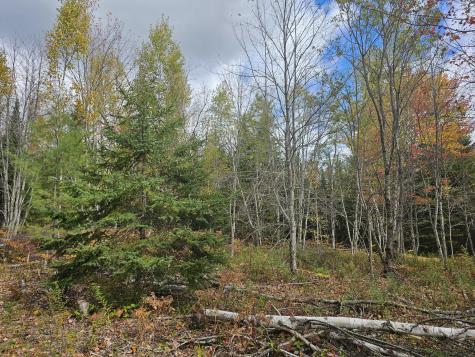 Map R09, Lot 12, Fox Run Drive Mariaville ME 04605