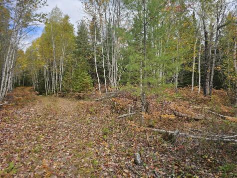 Map R09, Lot 12, Fox Run Drive Mariaville ME 04605