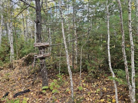 Map R09, Lot 12, Fox Run Drive Mariaville ME 04605