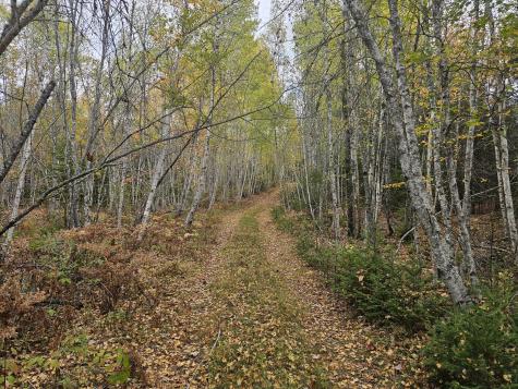 Map R09, Lot 12, Fox Run Drive Mariaville ME 04605