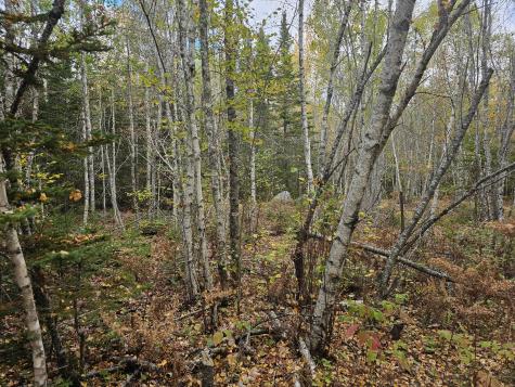 Map R09, Lot 12, Fox Run Drive Mariaville ME 04605