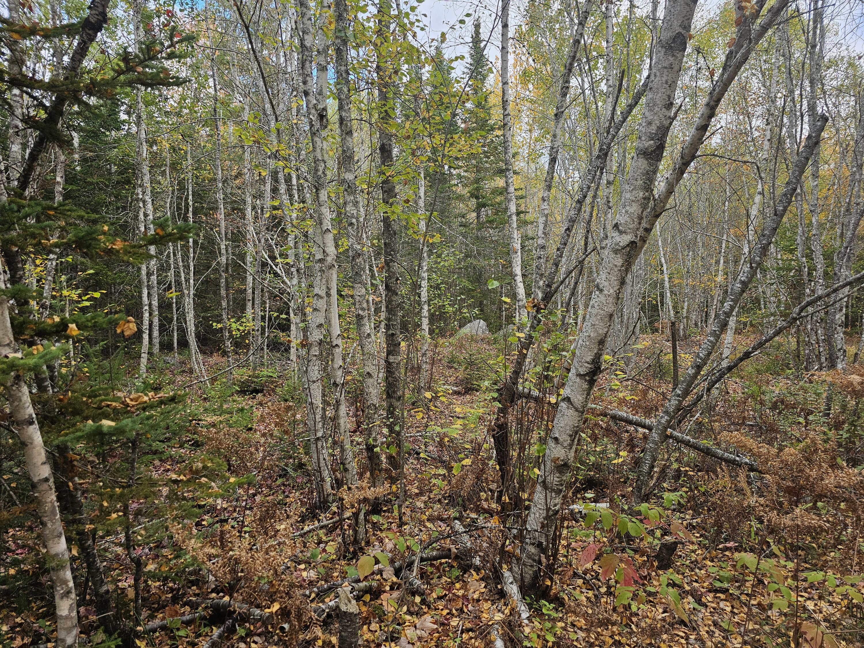 Map R09, Lot 12, Fox Run Drive Mariaville ME 04605