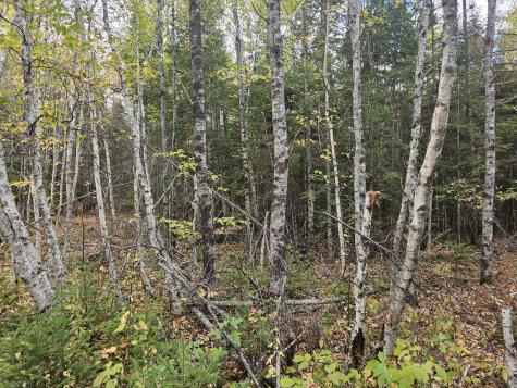 Map R09, Lot 12, Fox Run Drive Mariaville ME 04605