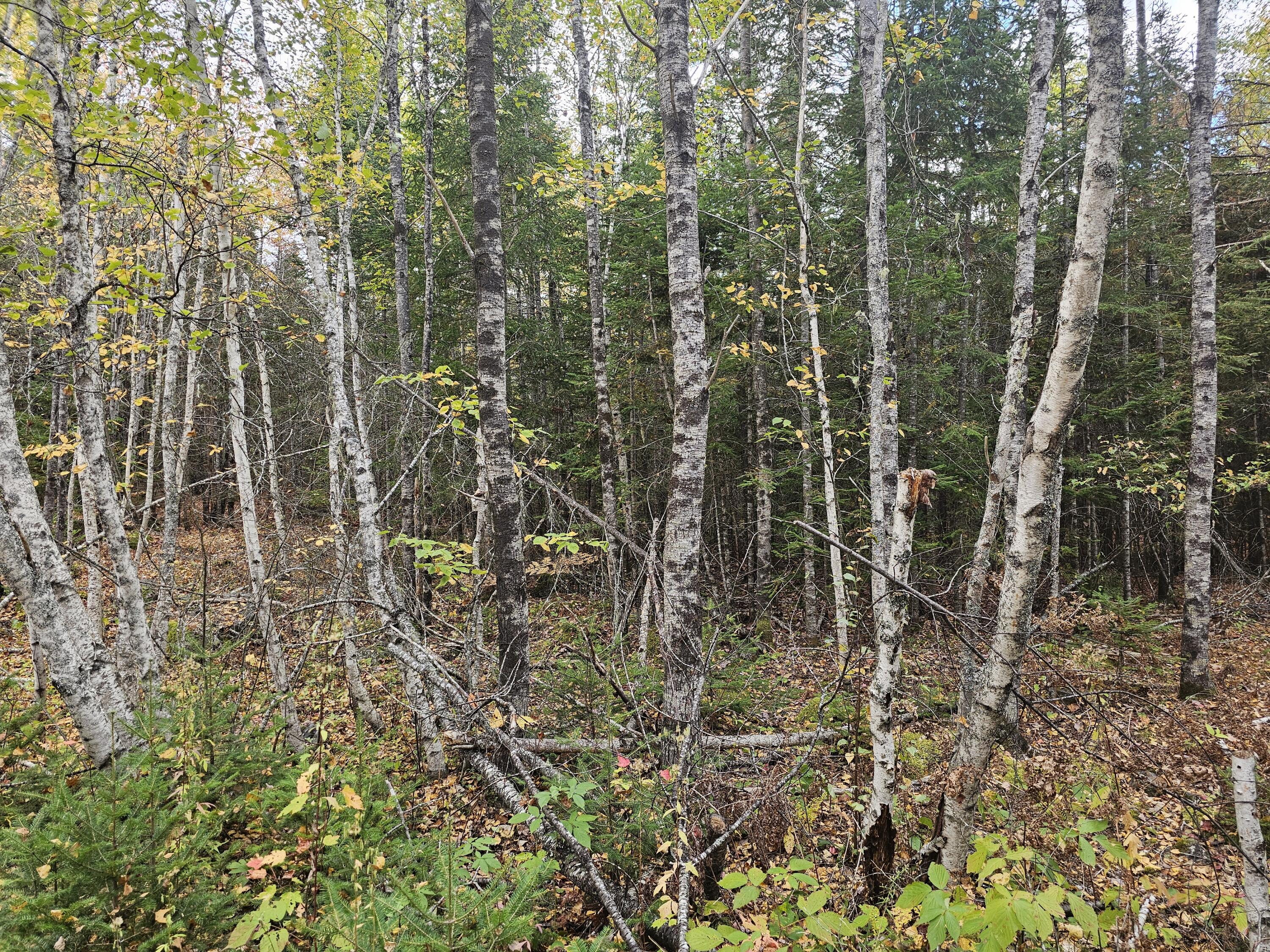 Map R09, Lot 12, Fox Run Drive Mariaville ME 04605