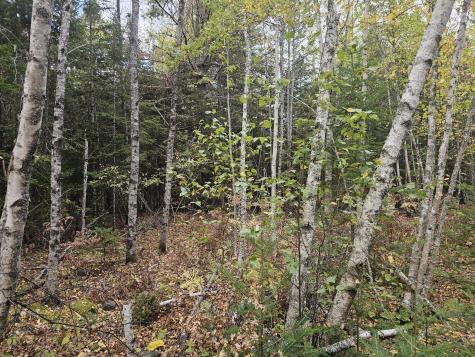 Map R09, Lot 12, Fox Run Drive Mariaville ME 04605