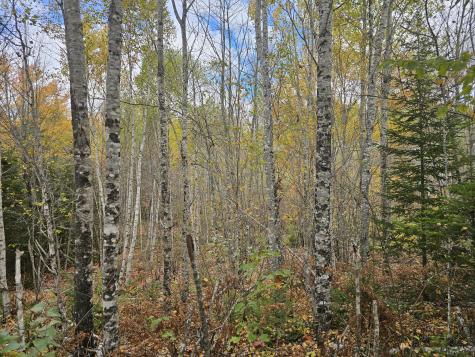 Map R09, Lot 12, Fox Run Drive Mariaville ME 04605