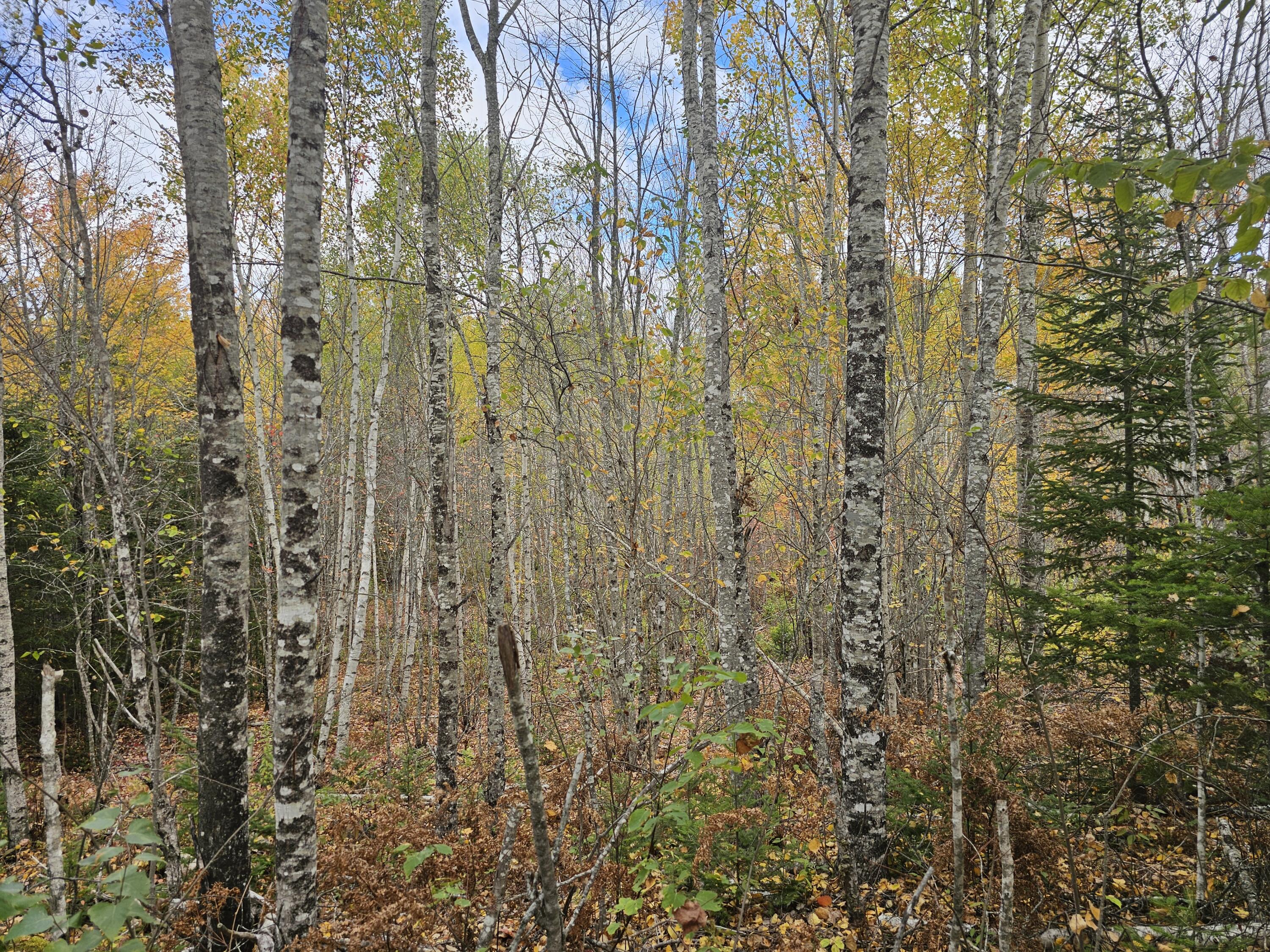 Map R09, Lot 12, Fox Run Drive Mariaville ME 04605