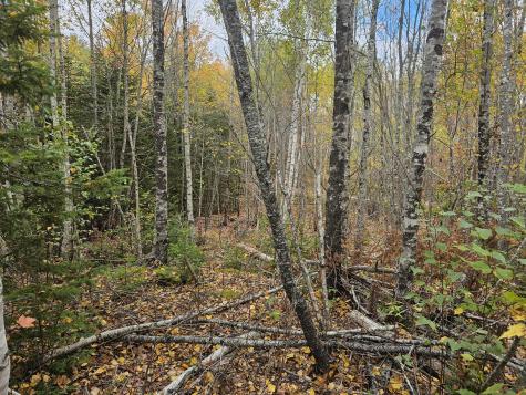 Map R09, Lot 12, Fox Run Drive Mariaville ME 04605