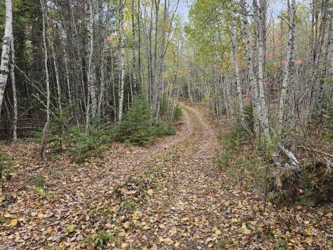 Map R09, Lot 12, Fox Run Drive Mariaville ME 04605