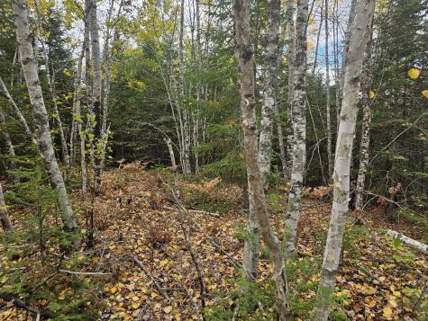 Map R09, Lot 12, Fox Run Drive Mariaville ME 04605