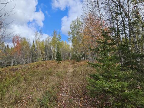 Map R09, Lot 12, Fox Run Drive Mariaville ME 04605